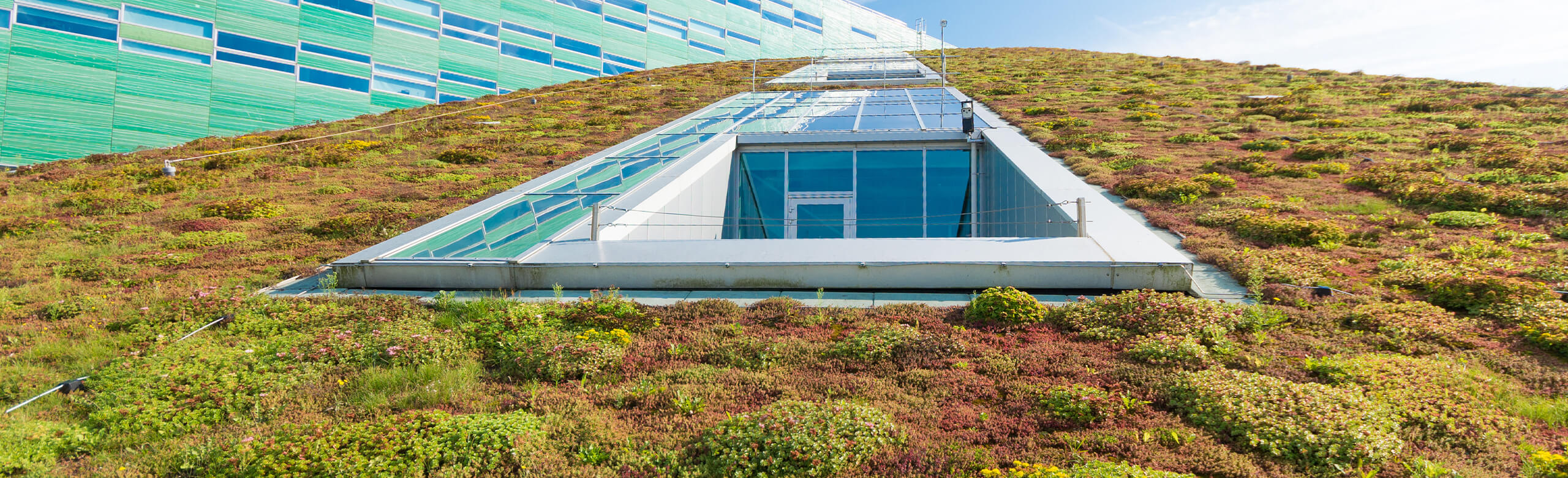 A green roof with lush vegetation throughout the roof. REGUPOL resist geo provides a waterproof REGUPOL resist geo is water permeable, with a laminated geotextile top surface.